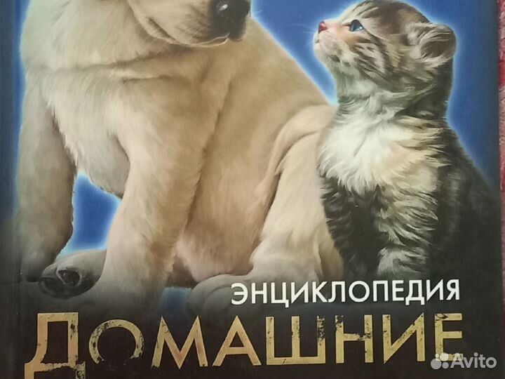 Детские книги пакетом