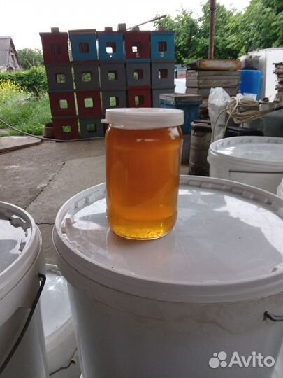 Майский мед 2024