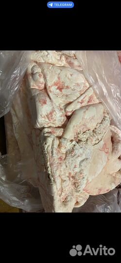 Жир говяжий сырец (высший сорт)