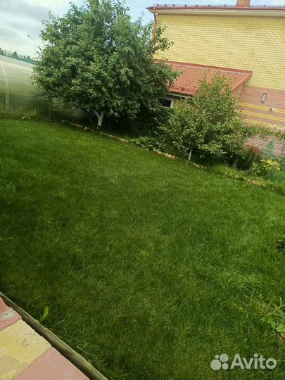 Зоогостиница. Передержка кошек и собак