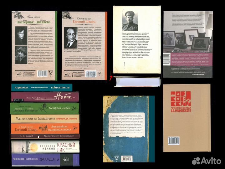 Дневники / Шварц, Цветаева, Юнгер, Элли, Бисмарк