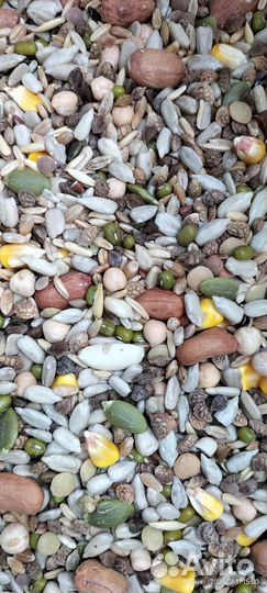 Корм для попугая