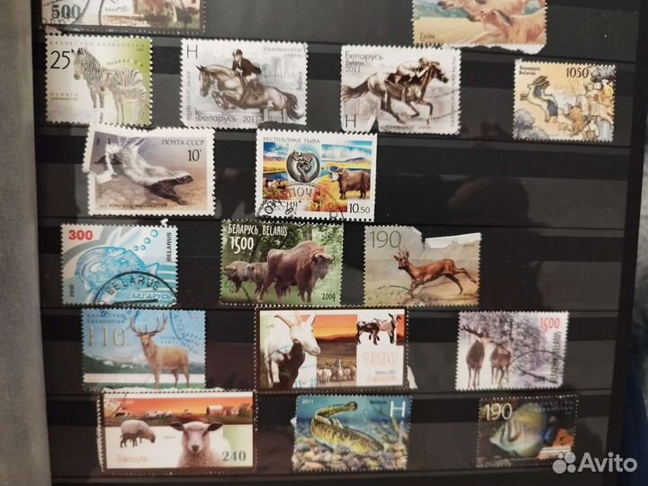 Почтовые марки(Россия, Беларусь, Казахстан)