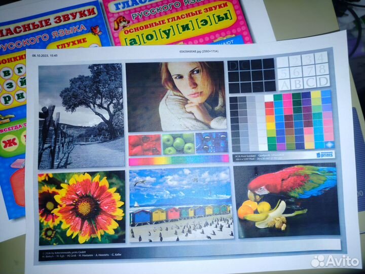 Хороший цветной лазерный принтер Samsung clp300