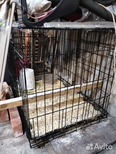 Клетка вольер