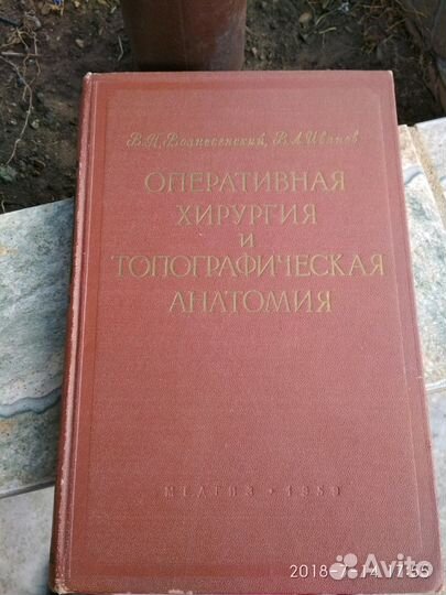 Топанатомия