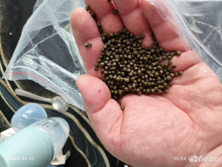 Корм Спирулина, spirylina