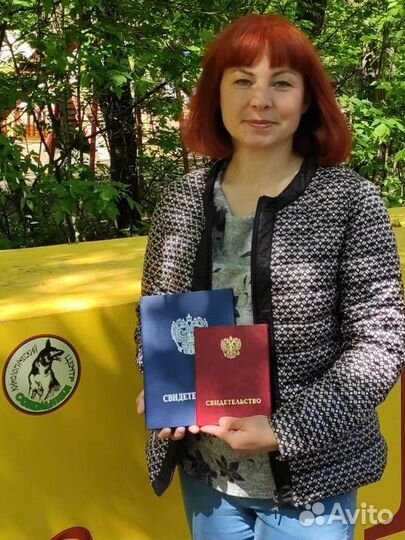 Передержка собак/выгул собак. Кинолог