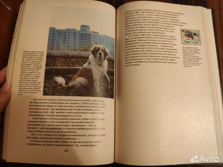 Познавательные книги про собак