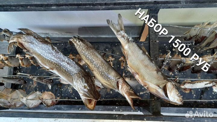 Вяленая рыба