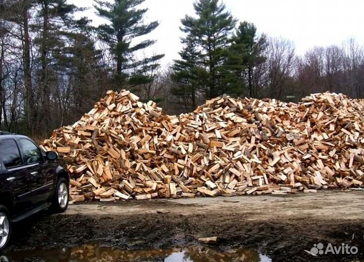 Дрова с Выборга