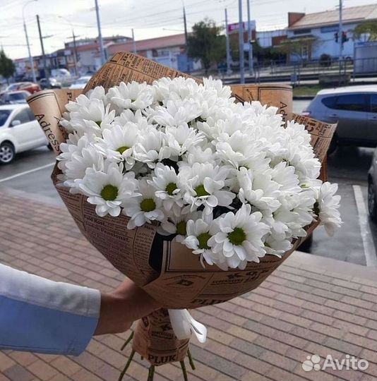 Хризантема Букеты доставка цветов