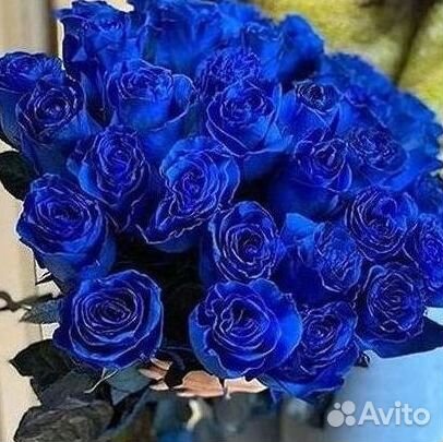 Доставка букетов и цветов. Синие розы