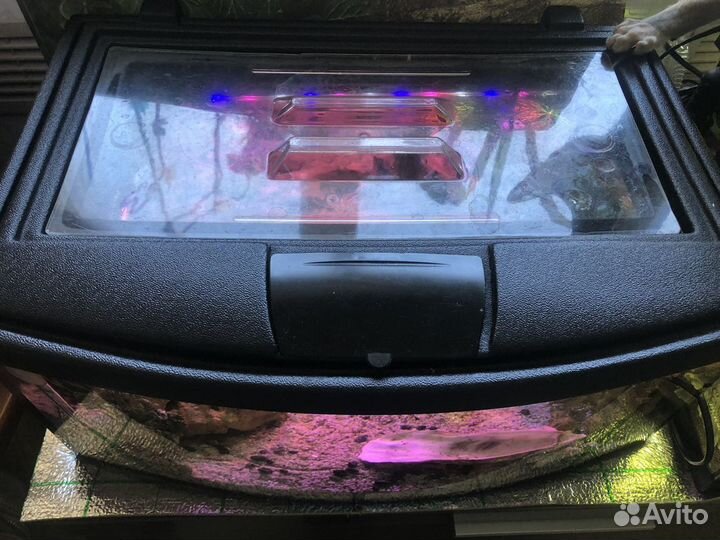 Аквариум, растения, улитки