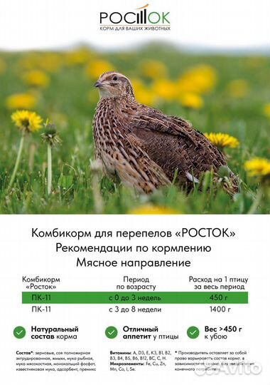 Продаю комбикорма для бройлеров, несушек, кроликов