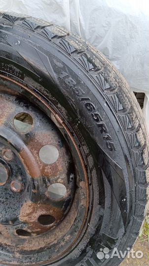 Roadstone Winguard Ice 185/65 R15