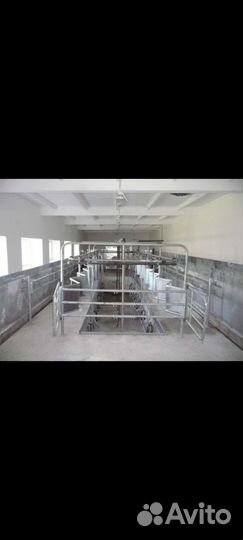 Доильный зал 