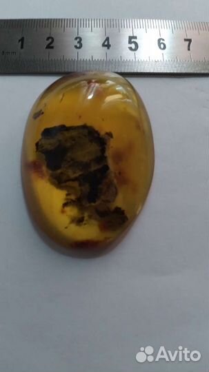 Янтарь,янтарь натуральный,янтарь прибалтика,янтарь