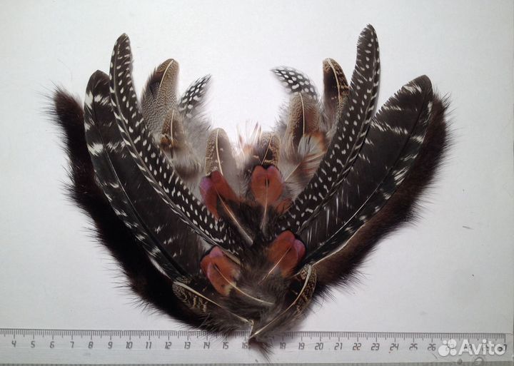 Перья для творчества