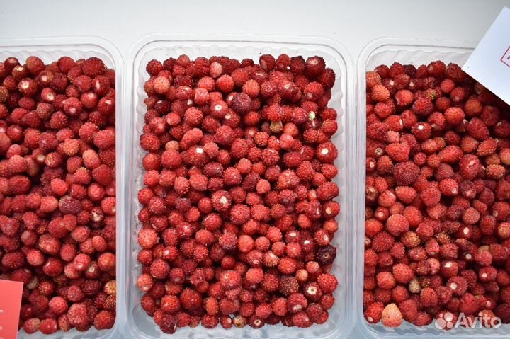 Замороженная земляника в розницу и оптом