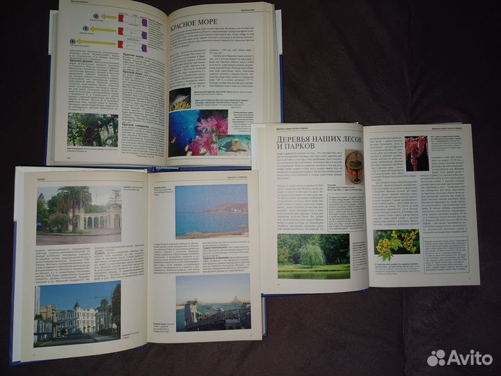 Энциклопедия Слободы