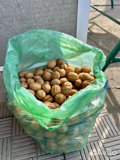 Грецкий орех в скорлупе