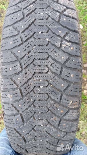 Cordiant Polar 195/55 R15