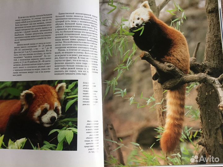 Книги новые