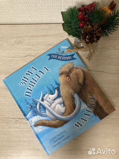 Новая книга Clever