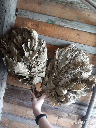 Дубовые веники для бани