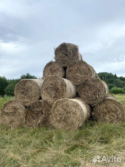 Сено в рулонах 2023