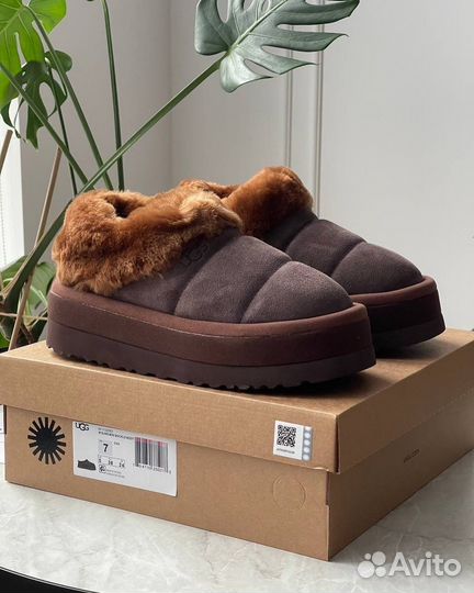 UGG Tazzlita chocolate