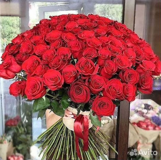 Букет роз 101 роза 51 роза