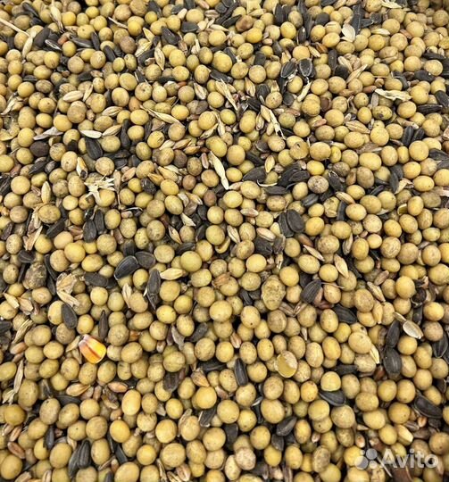 Соя кормовая 2 сорт (с примесью семечки и др.зерно