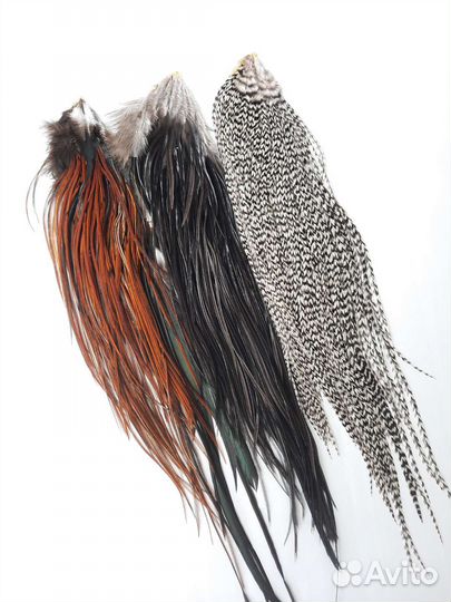 Перья петуха гризли, цветные перья гризли