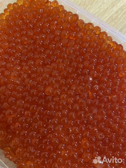 Красная икра 2023