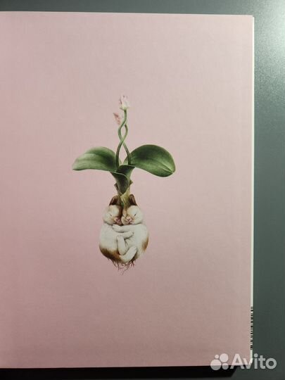 Кролики пионы от Оксаны Фоминой