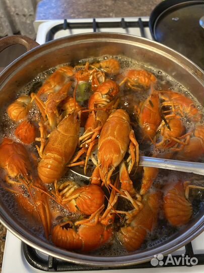 Раки вареные