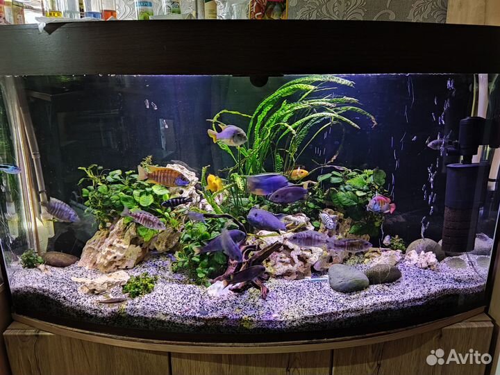 Аквариум 350л