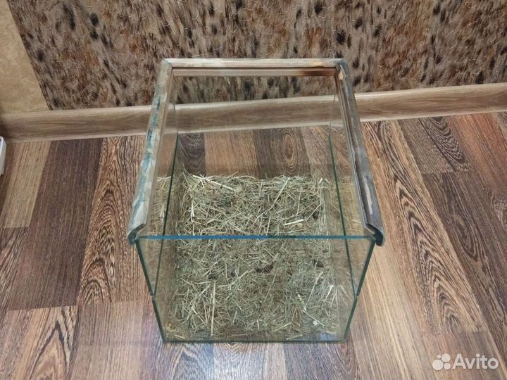 Террариум для рептилий