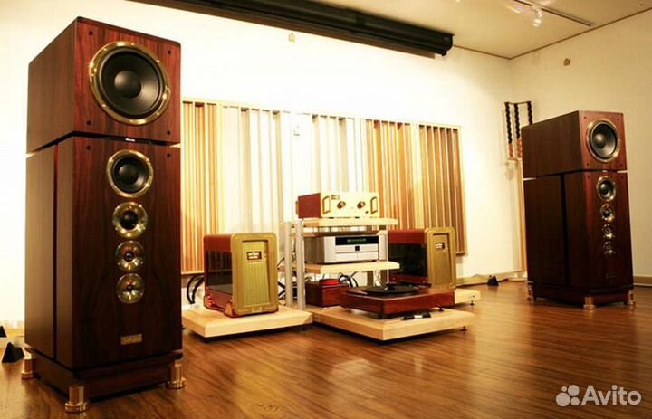 Dynaudio consequence