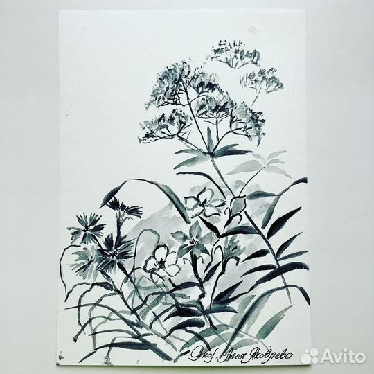 Акварели в японской технике суми-е