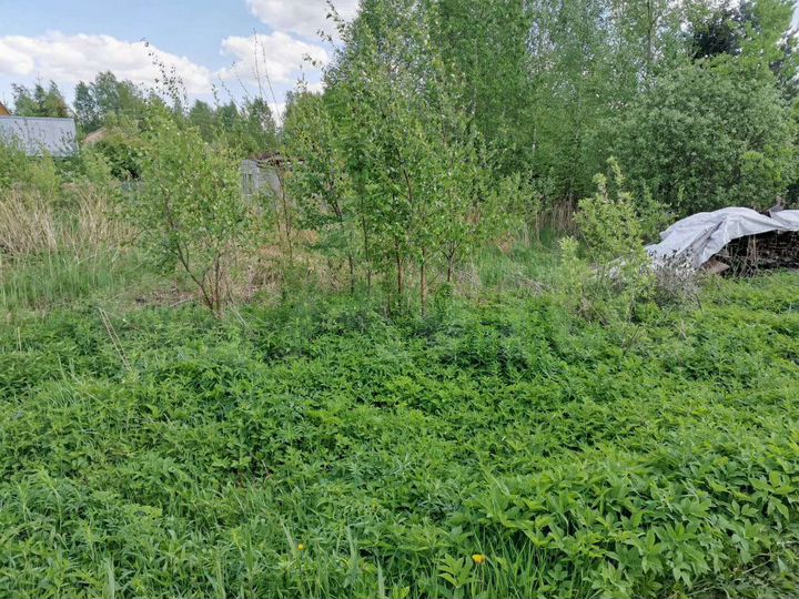 Участок 8 сот. (СНТ, ДНП)