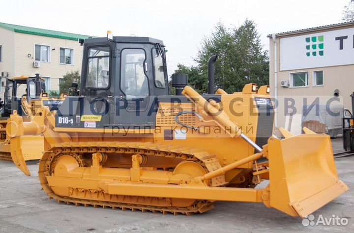 Beezone D16-5, 2023