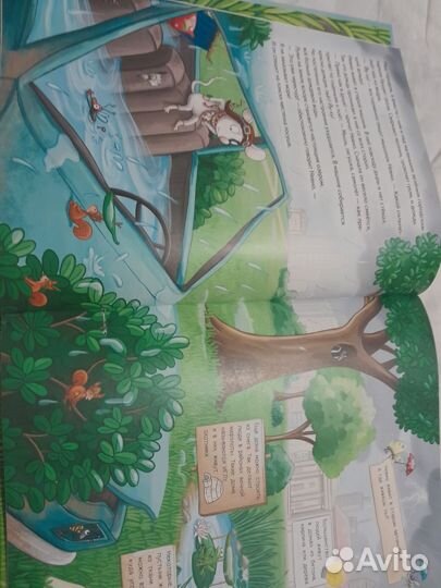 Умный мышонок Невио. Книги