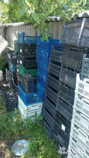 Пластиковые ящики бу