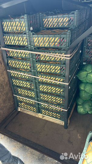 Яблоки оптом и в розницу