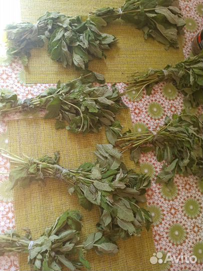 Матрёшка, мята