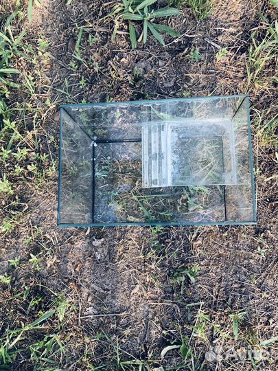 Аквариум для красноухой черепахи