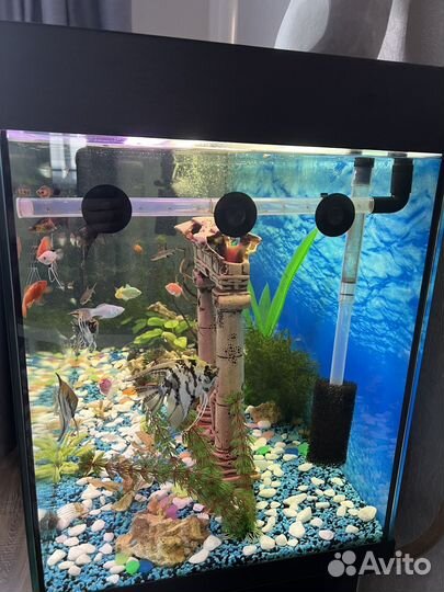 Аквариум с тумбой 320 литров
